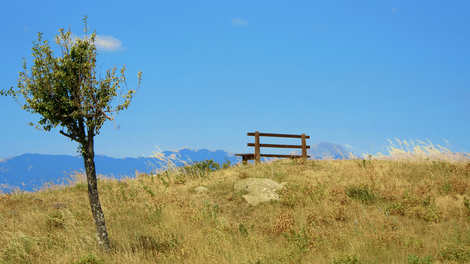A bench and a tree on a hill with the surrounding mountains in the background